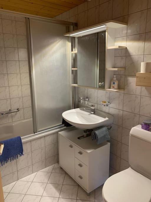 Dachwohnung Zentrum Unterwasser エクステリア 写真